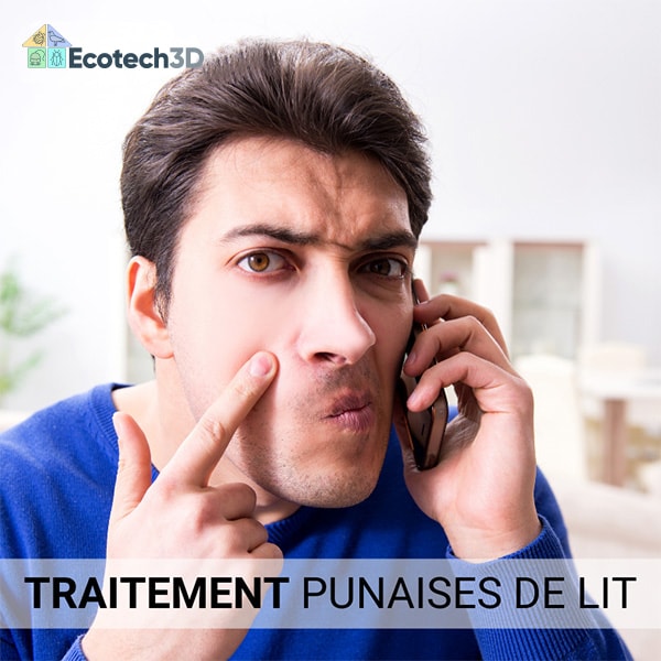 Traitements punaises de lit