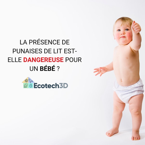 La présence de punaises de lit est-elle dangereuse pour un bébé ?