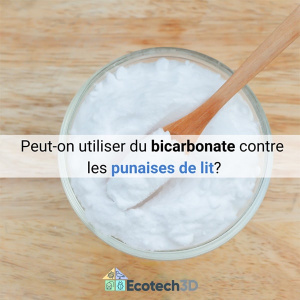 Peut-on utiliser du bicarbonate contre les punaises de lit ?