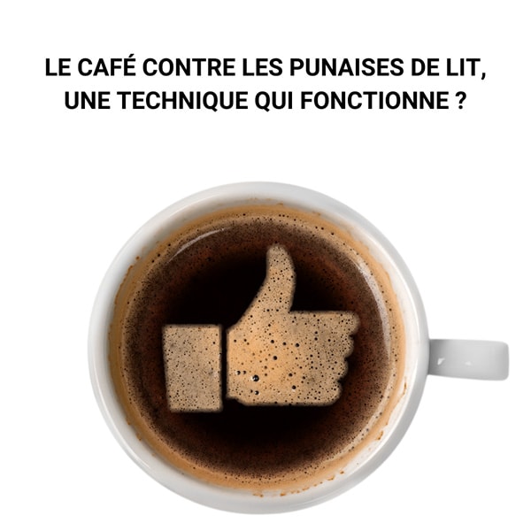 Le café contre les punaises de lit, une technique qui fonctionne ?