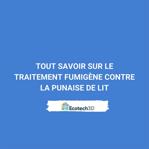 Tout savoir sur le traitement fumigène contre la punaise de lit