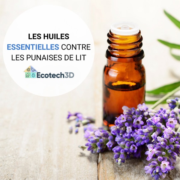 Les huiles essentielles contre les punaises de lit