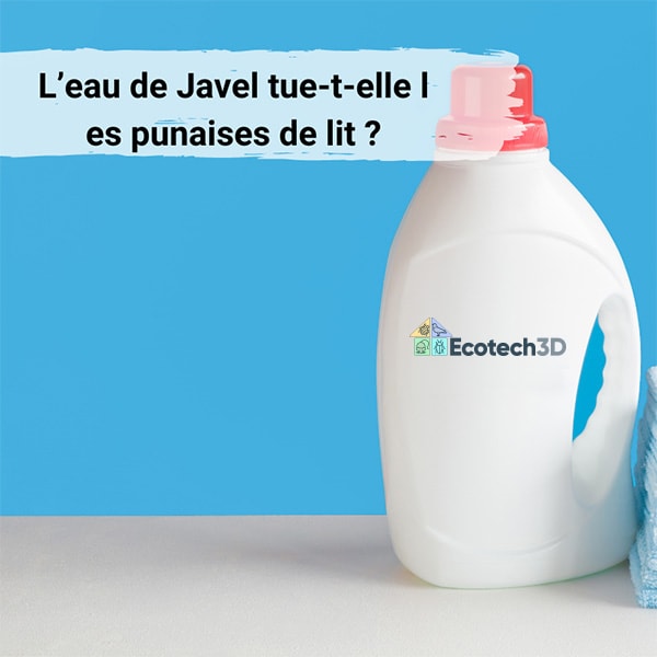 L'eau de Javel tue-t-elle les punaises de lit ?