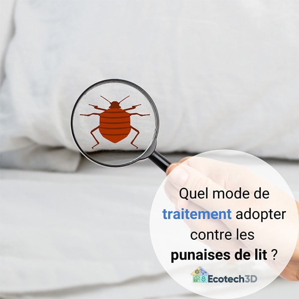 Quel mode de traitement adopter contre les punaises de lit ?