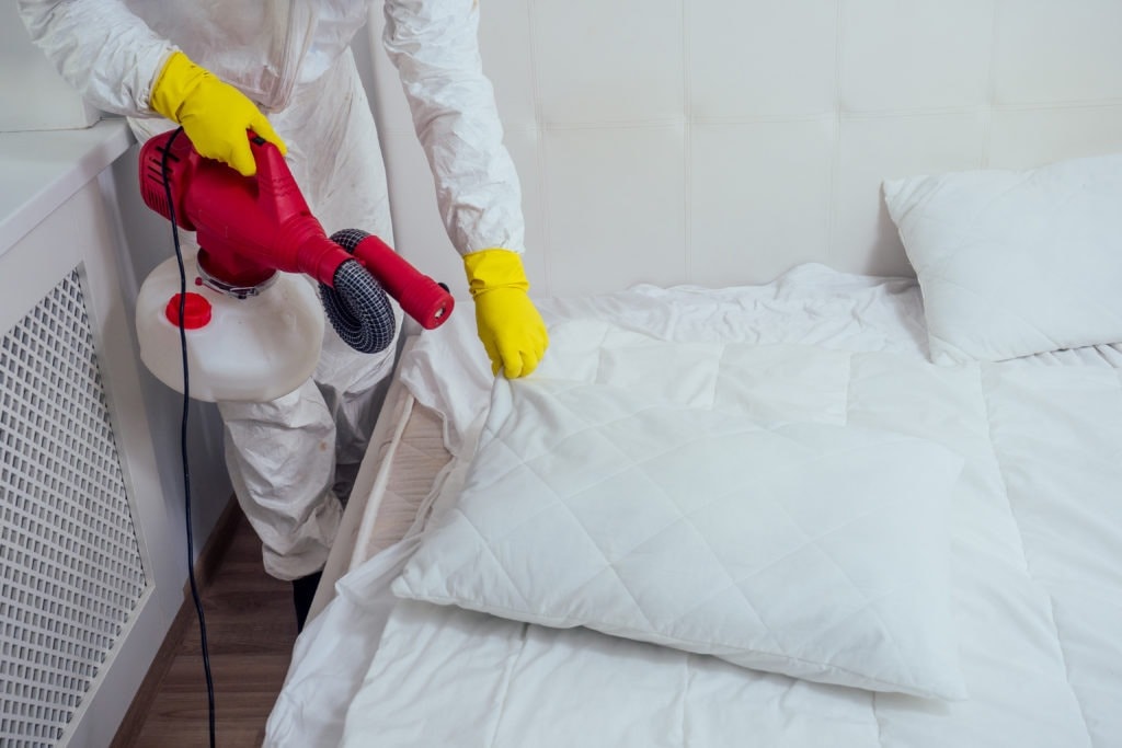 Les canons à chaleur : un traitement efficace contre les punaises de lit