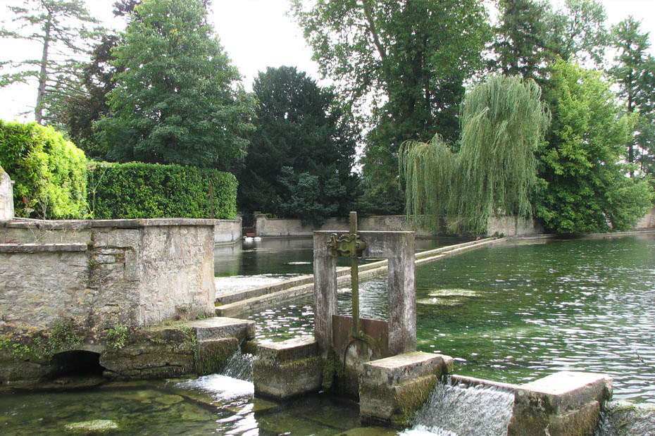 Désinsectisation à Argenteuil